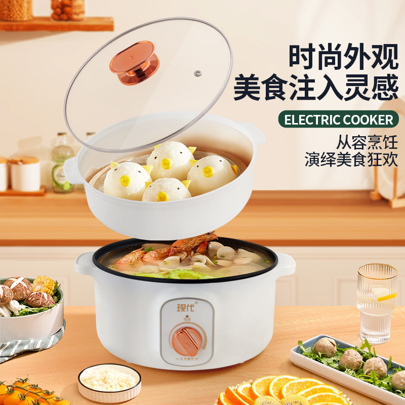 다기능 미니 전기 핫팟 휴대용 학생 기숙사 전기 냄비  - Home Cooking Appliances 리뷰 및 가격