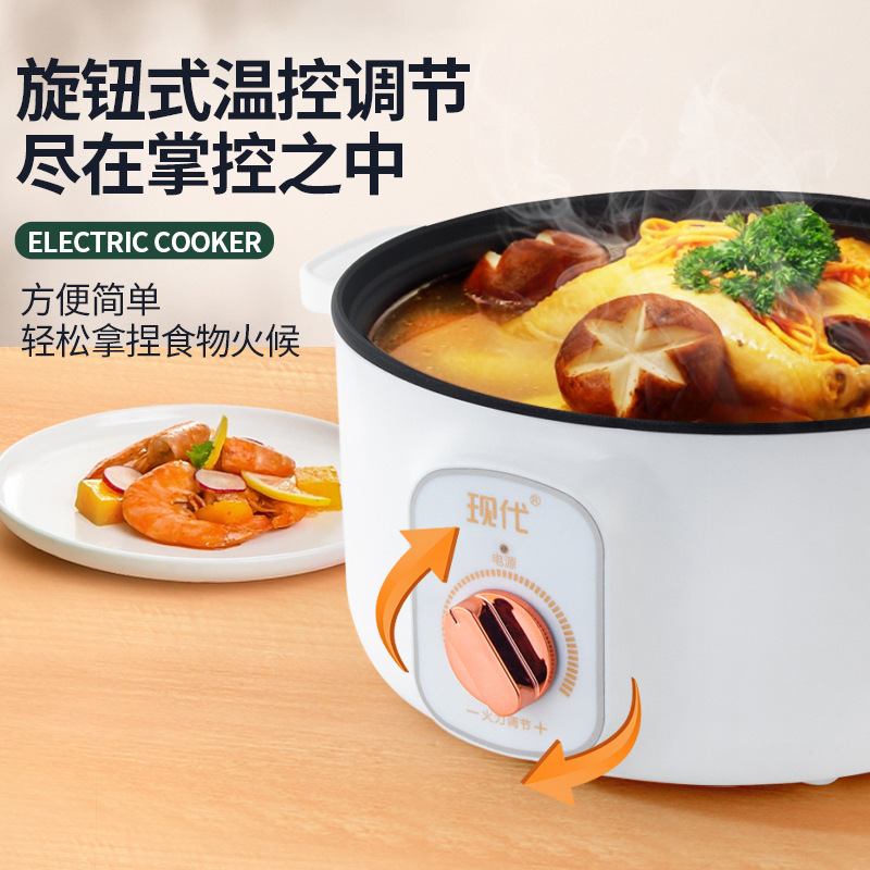 다기능 미니 전기 핫팟 휴대용 학생 기숙사 전기 냄비  - Home Cooking Appliances 리뷰 및 가격